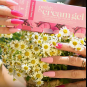 Gelish Solid Cream Gel Polish Palette Polished Pinks 1121821