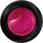OPI Gelcolor A/S A Fuchsia Too Many 4g/0.21 oz GP 001