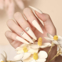 Entity Nu Bond Non-Acid Nail Primer 15ml - 0.5oz. 5101153