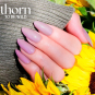 Morgan Taylor 0.5 fl oz - Thorn To Be Wild 3110604