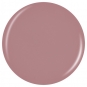 China Glaze Low-Maintenance 14ml/ 0.5 fl oz #1590 (84145)