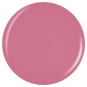 China Glaze Pretty Fit 14ml/ 0.5 fl oz #1591 (84146)