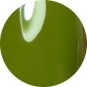 Color Club Tribe And True 0.5 oz. - 15 ml #1020