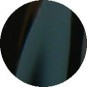 OPI Black Onyx 0.5 oz. NL T02