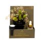 Nontoxic Floral Car Air Freshener | Cashmere Plum 19694