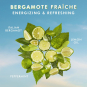 Moroccanoil Body Bergamote Fraiche Hand Cream 3.4oz BFHC03