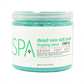 BCL SPA Dead Sea Salt Soak 16 oz - Tingling Mint + CBD 56111