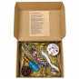 Psychic Wisdom Kit- Intention Ritual Kit 05071