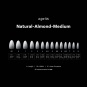 Apres Gel-X Soft Gel Ombre Tips Natural Almond Medium NAM3