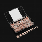 Apres Gel-X Lila Neutrals Natural Square X-Short 150PC 40208