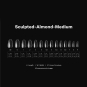 Apres Gel-X Tips Sculpted Almond Medium Refill SAM00 40910