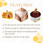 Gigi All Purpose Honee Wax 14 fl oz / 396 g 0330