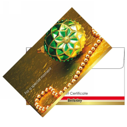 Matching Envelope For Gift Certificate 50ct EN111