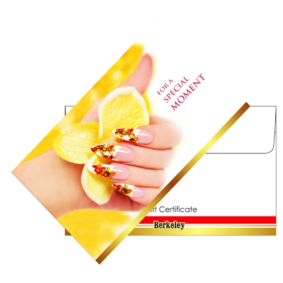 Matching Envelope For Gift Certificate 50PK EN127