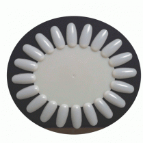 Berkeley Polish Color Display Oval 20Tips - Natural PD102NT
