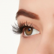 Ardell Active Lash - Gainz 64681
