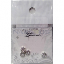Mixed Dried Flowers Nail Decoration 00645