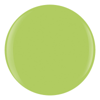 Gelish Xpress Dip Powder 43g - Into The Lime-Light 1620424
