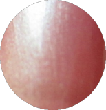 China Glaze Chiaroscuro 0.5 oz. #102