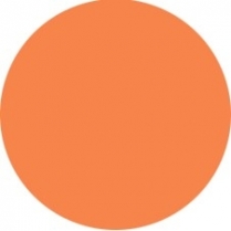 Nobility Nail Lacquer 0.5 fl oz/15ml - Creamsicle #NBNL125