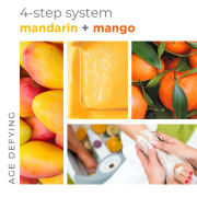 BCL SPA Massage Cream 16 oz - Mandarin+Mango 52106