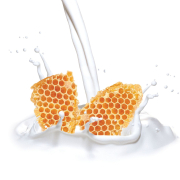 Cuccio Micro Exfoliant Milk & Honey 8 fl oz CNSC3405