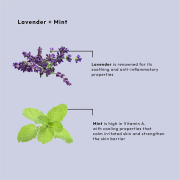 BCL SPA Moisture Mask 64 oz - Lavender+Mint 50015