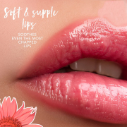 Blossom Moisturizing Lip Gloss 0.3 fl oz Grape 10036