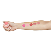 Blossom Fresh Impressions Blendable Blush