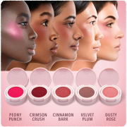 Blossom Fresh Impressions Blendable Blush
