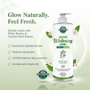 Hollywood Style Herbal Whitening Lotion 8 fl oz. 50104