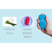 Be Sprucy Liquid Hand Sanitizer Spray Ocean Of Joy 61430