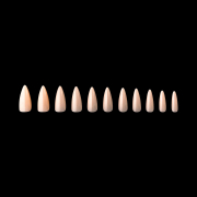 Apres Gel-X Alex Neutrals Natural Stiletto Medium150PC 40175