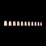 Apres Gel-X Maisie Neutrals Natural Coffin Short 150PC 40193