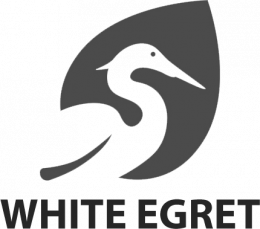 White Egret