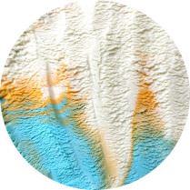 Ice Cream of Champions - 11.4 L