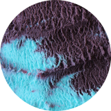 Shark Attack - 1.4L x 3