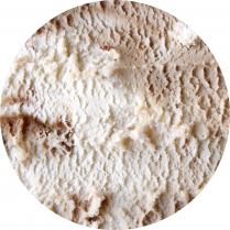 Caramel Crunch (No Sugar Added) - 11.4L