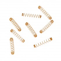 Lab Security Cylinder Springs (Short)