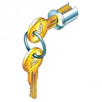 Timberline Lock Plug