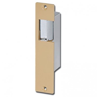 Trine 001 Light Commercial Electric Strike