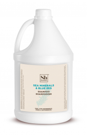 Soapbox Shampoo - 4 Gal/Cse