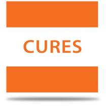 All Purpose Cure 25Kg