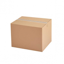 Pepperoyal P662 Seasoning 25Kg