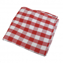 Gingham Napkin 21" x 21" Red/White