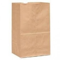 10x6x16" Kraft Paper Bag 100GSM 250/cs