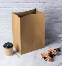 12x7x17" Kraft Paper Bag 120GSM 250/cs