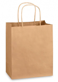 Kraft Handle Paper Bag (XS) 8.27x4.53x10" 250/cs