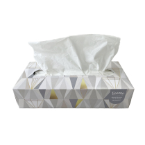 2ply White Facial Tissue 100/30box/cs