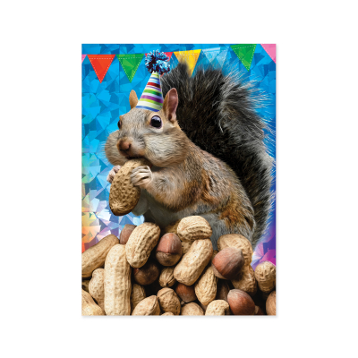Go Nuts Card|Peaceable Kingdom